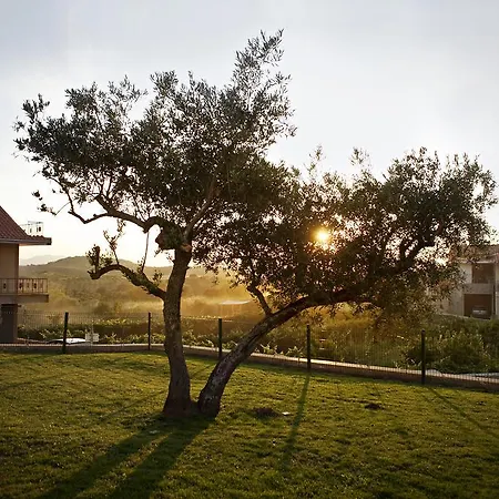 Holiday home Casas De Vale De Lobo Mirandela